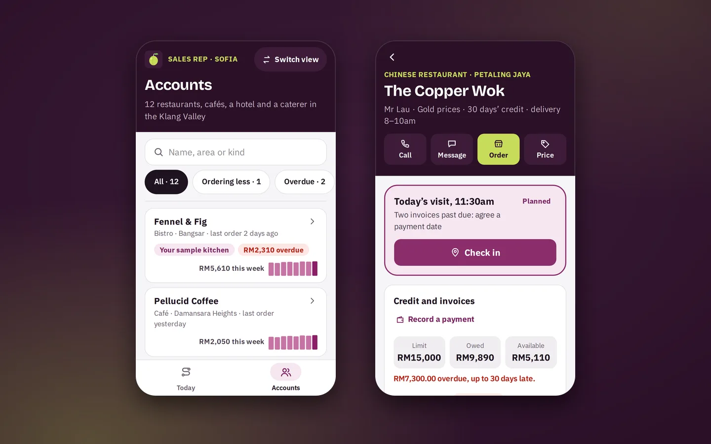 Sales rep’s list of restaurant accounts with weekly spend and overdue flags, beside one account with today’s visit and credit, Greengage sample app