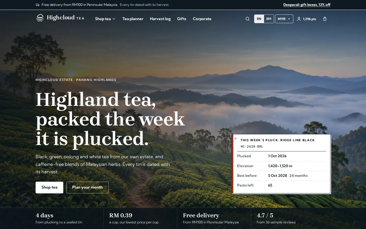 Tea brand home page with mist over highland tea terraces, the headline Highland tea, packed the week it is plucked, and a harvest docket for this week’s pluck, Highcloud Tea concept prototype