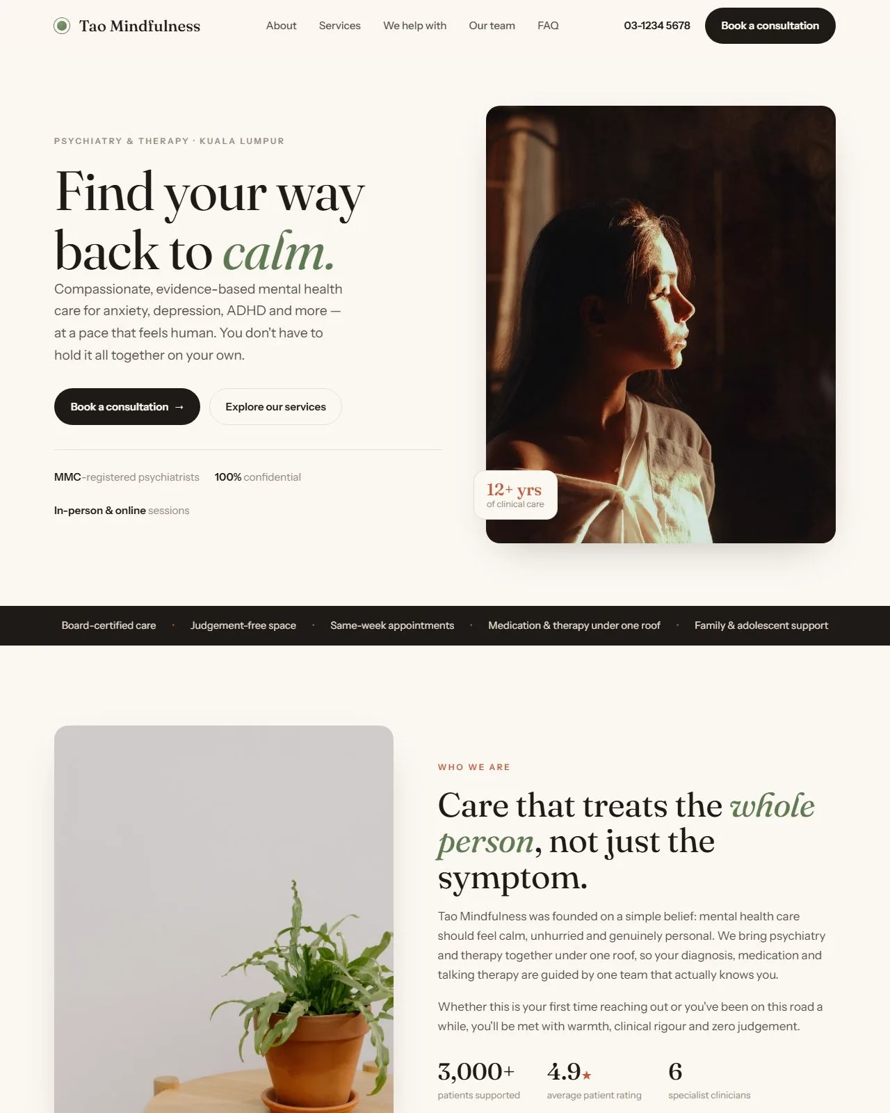 Tao Mindfulness — website screenshot